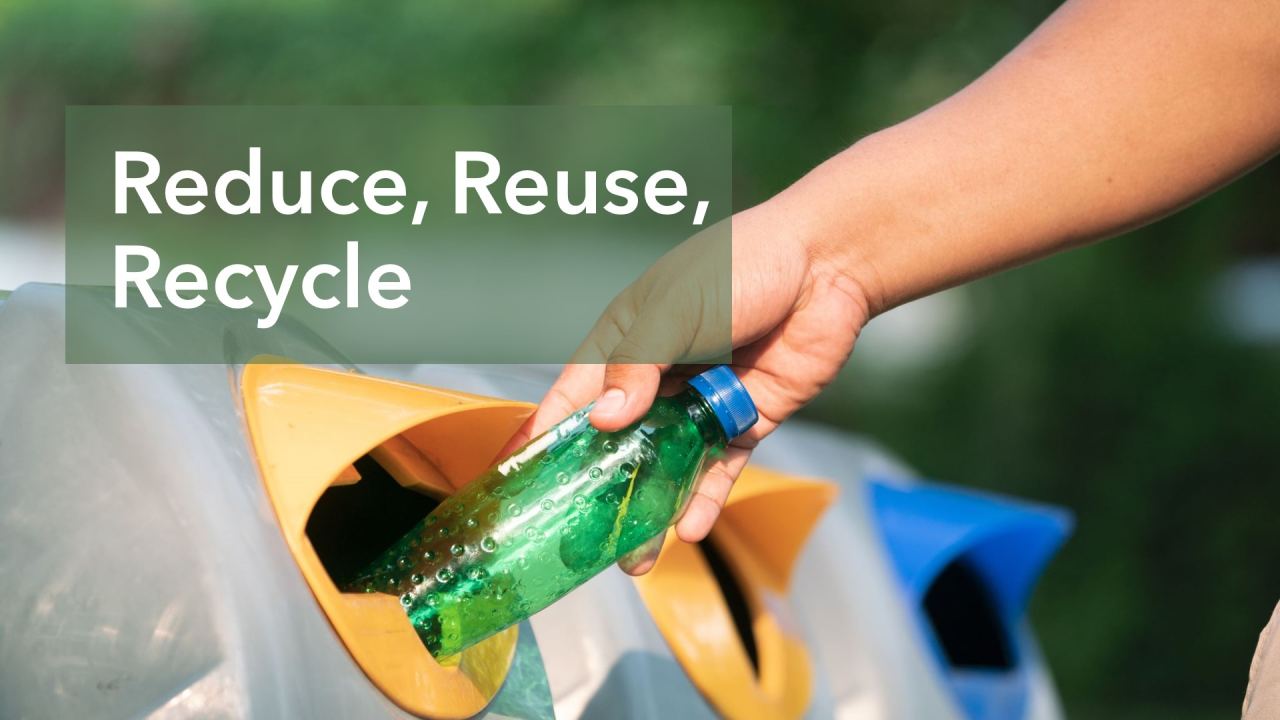 Eco-Friendly Pouches