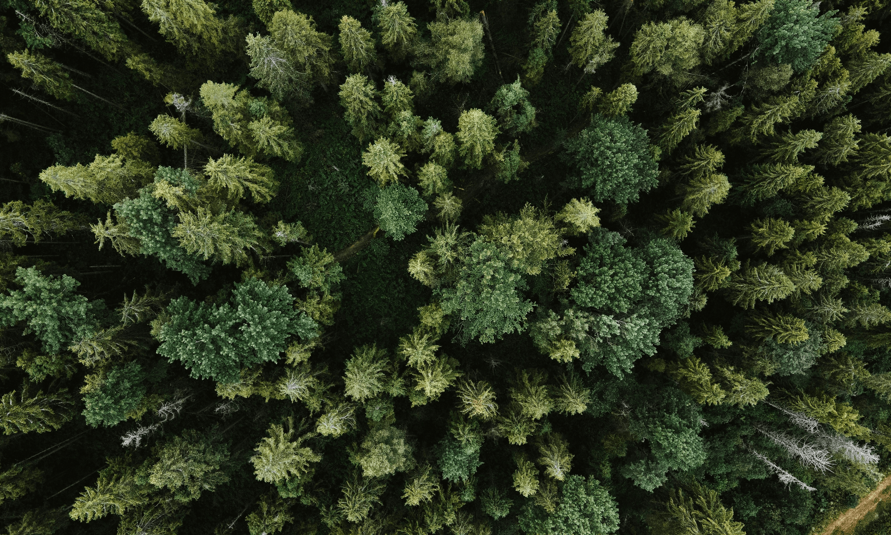 Sustainability Image